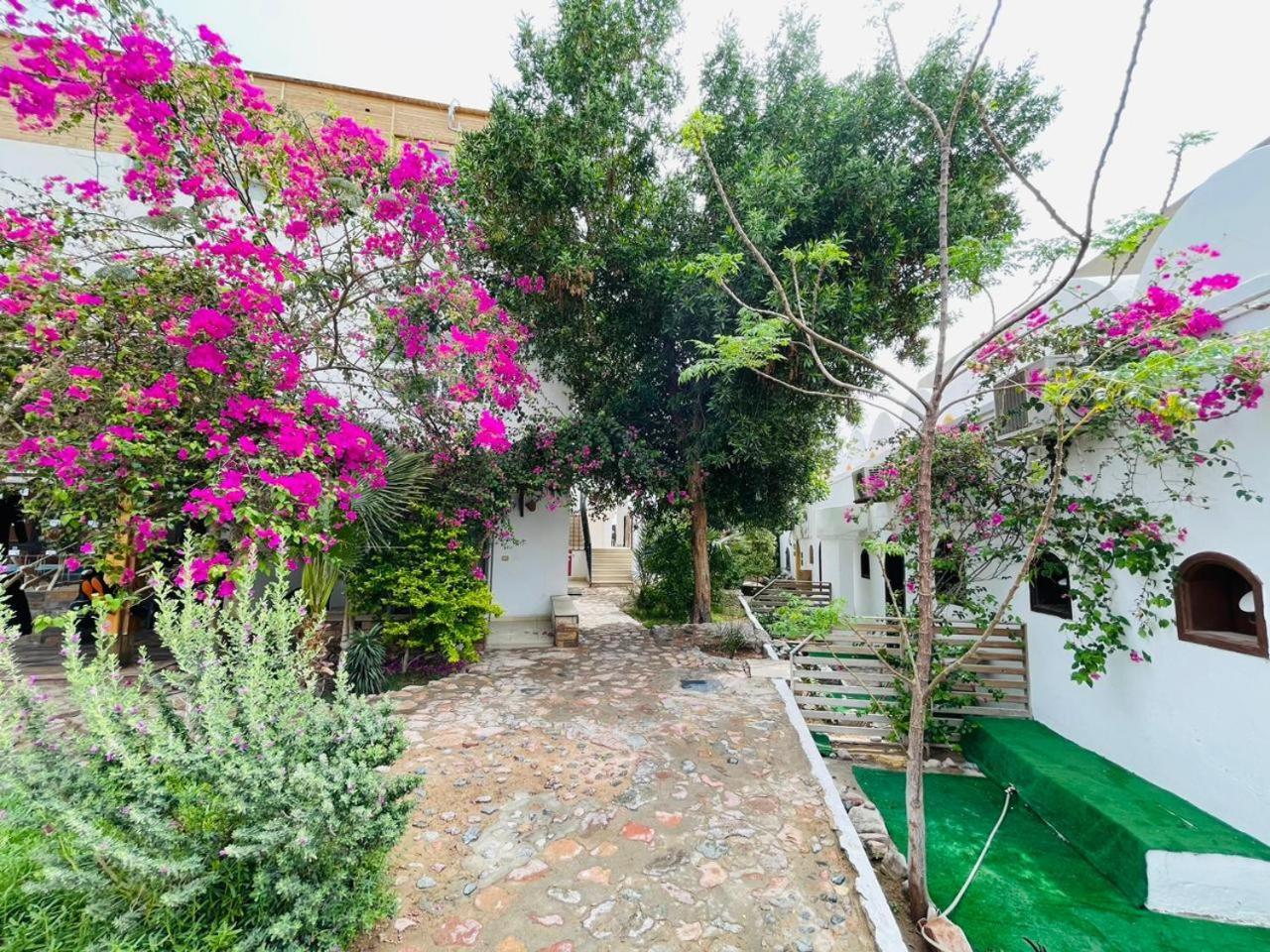 Club Red Dahab Motel Exteriör bild